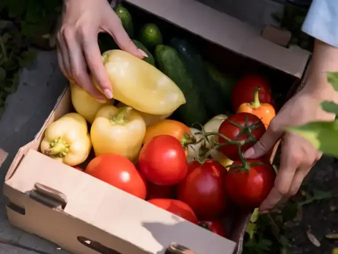Sustainable farming